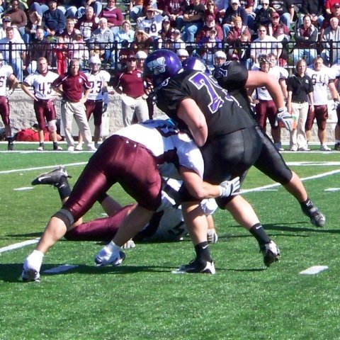 photo44.jpg