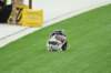 dsc_4973_small.jpg
