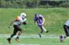 dsc_3603_small.jpg