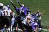 dsc_3616_small.jpg