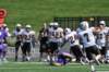 dsc_3620_small.jpg