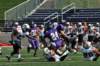 dsc_3629_small.jpg