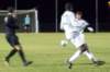 photo50_small.jpg